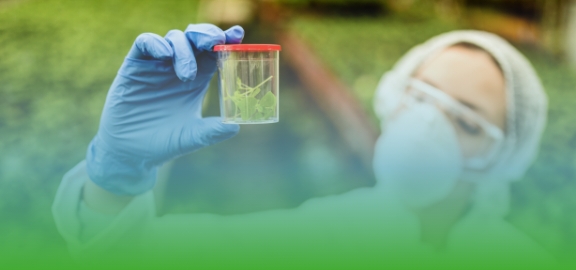 Settore agro-alimentare